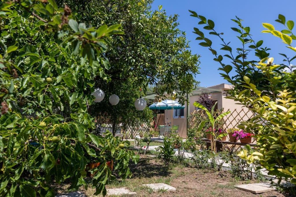 Bougainvillea House With Private Garden Farai Bagian luar foto