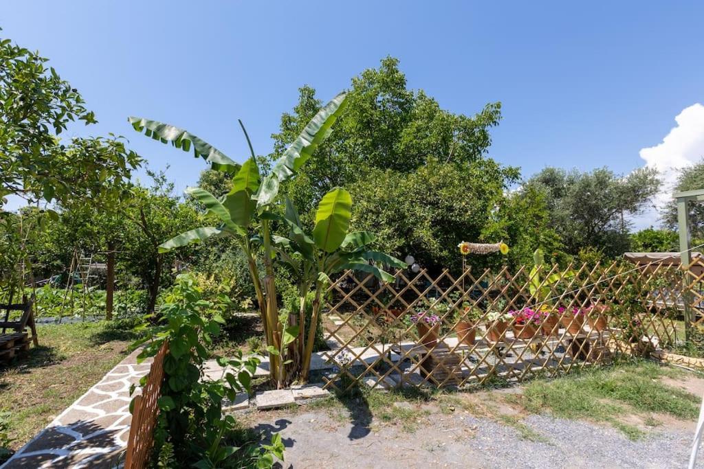 Bougainvillea House With Private Garden Farai Bagian luar foto