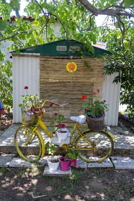 Bougainvillea House With Private Garden Farai Bagian luar foto